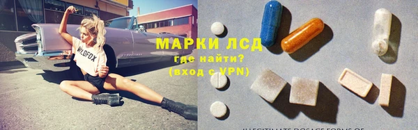 прущие грибы Верхнеуральск