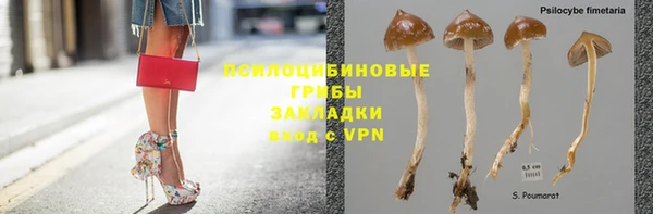 spice Верхний Тагил