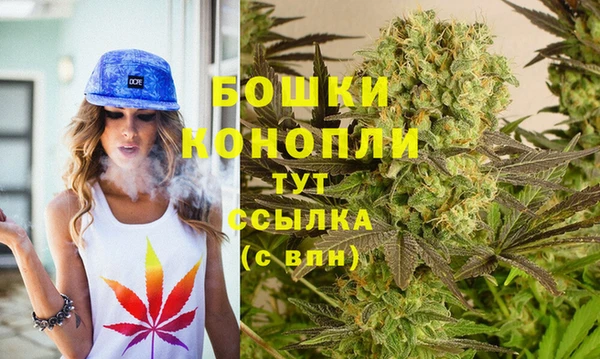 прущие грибы Верхнеуральск