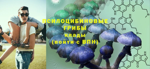 метадон Верея