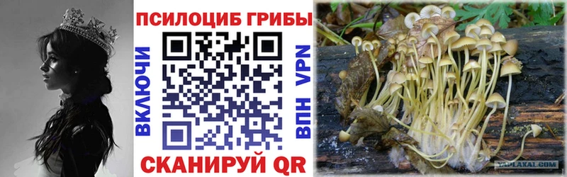 Галлюциногенные грибы мухоморы  Купить закладки  Короча 